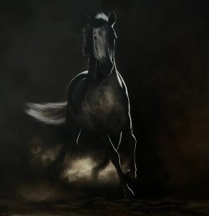 Umbra Saltator - Original