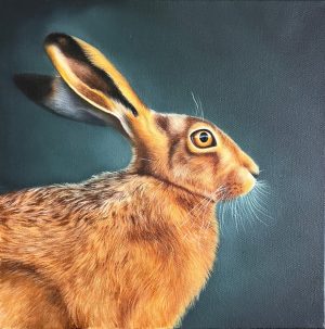 Hare - Original