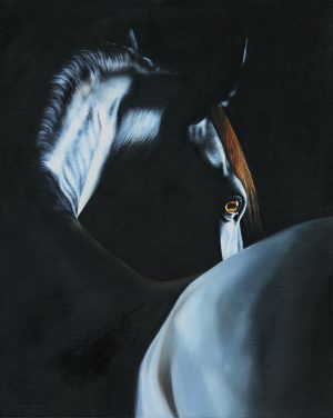 Where the Light Finds the Dark